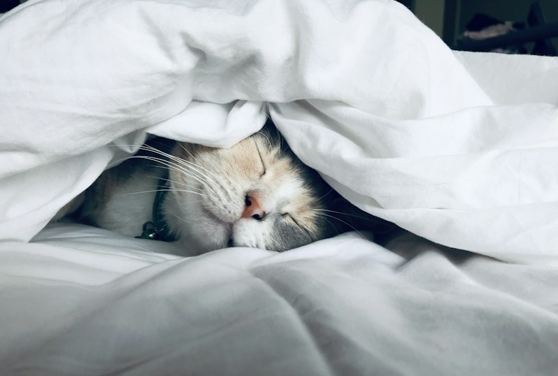 Sommeil réparateur et hormones métaboliques
