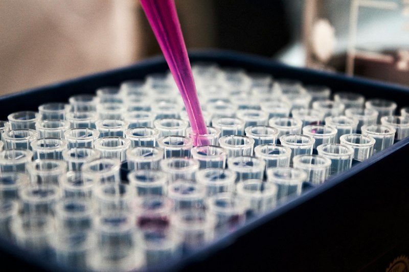 Observation en laboratoire des mécanismes cellulaires du métabolisme